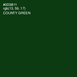 #0D3B11 - County Green Color Image