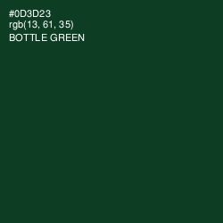 #0D3D23 - Bottle Green Color Image