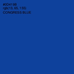 #0D419B - Congress Blue Color Image