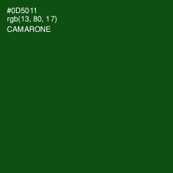 #0D5011 - Camarone Color Image