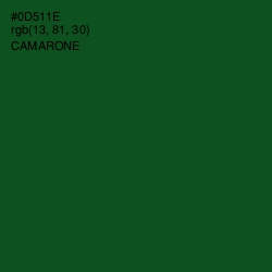 #0D511E - Camarone Color Image