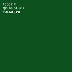 #0D511F - Camarone Color Image