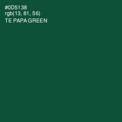 #0D5138 - Te Papa Green Color Image