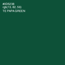#0D5238 - Te Papa Green Color Image