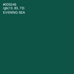#0D5346 - Evening Sea Color Image