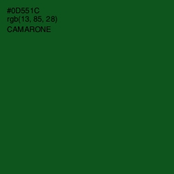 #0D551C - Camarone Color Image