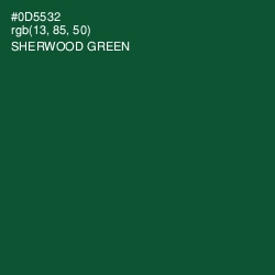 #0D5532 - Sherwood Green Color Image