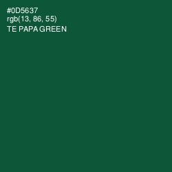 #0D5637 - Te Papa Green Color Image