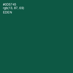 #0D5745 - Eden Color Image