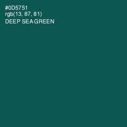 #0D5751 - Deep Sea Green Color Image