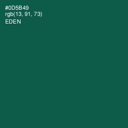 #0D5B49 - Eden Color Image
