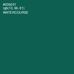 #0D6051 - Watercourse Color Image