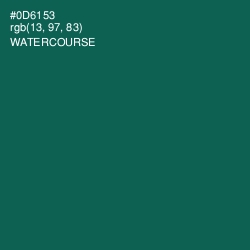 #0D6153 - Watercourse Color Image