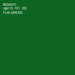 #0D6521 - Fun Green Color Image