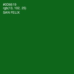 #0D6619 - San Felix Color Image