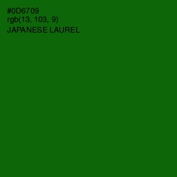 #0D6709 - Japanese Laurel Color Image