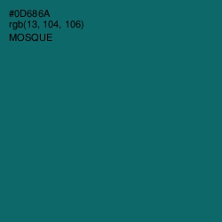 #0D686A - Mosque Color Image