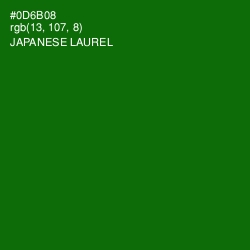 #0D6B08 - Japanese Laurel Color Image