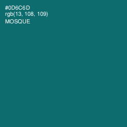 #0D6C6D - Mosque Color Image