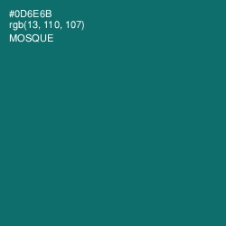 #0D6E6B - Mosque Color Image