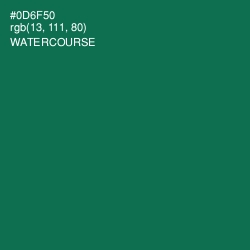 #0D6F50 - Watercourse Color Image