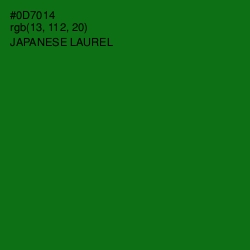 #0D7014 - Japanese Laurel Color Image