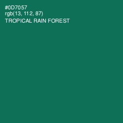 #0D7057 - Tropical Rain Forest Color Image