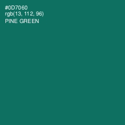 #0D7060 - Pine Green Color Image