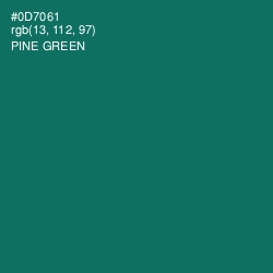 #0D7061 - Pine Green Color Image