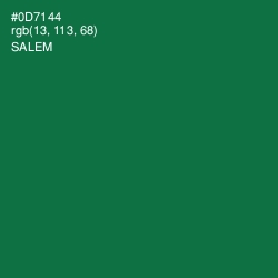 #0D7144 - Salem Color Image