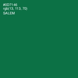 #0D7146 - Salem Color Image