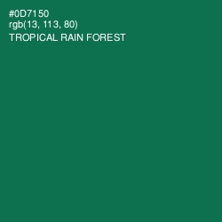 #0D7150 - Tropical Rain Forest Color Image
