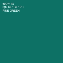 #0D7165 - Pine Green Color Image