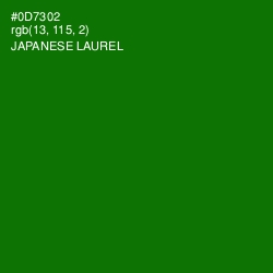 #0D7302 - Japanese Laurel Color Image