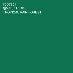 #0D7351 - Tropical Rain Forest Color Image