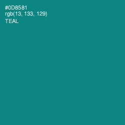 #0D8581 - Teal Color Image