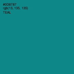 #0D8787 - Teal Color Image