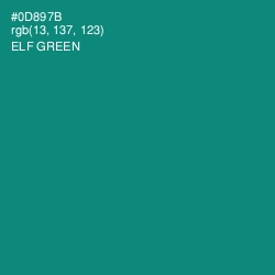 #0D897B - Elf Green Color Image