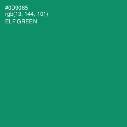 #0D9065 - Elf Green Color Image