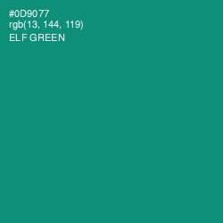 #0D9077 - Elf Green Color Image