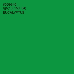 #0D9640 - Eucalyptus Color Image