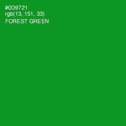 #0D9721 - Forest Green Color Image