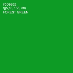 #0D9B26 - Forest Green Color Image