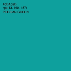 #0DA09D - Persian Green Color Image