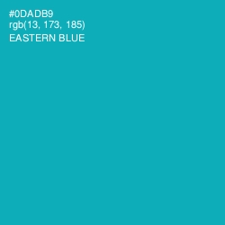 #0DADB9 - Eastern Blue Color Image