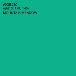 #0DB28C - Mountain Meadow Color Image