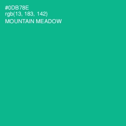 #0DB78E - Mountain Meadow Color Image