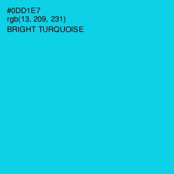 #0DD1E7 - Bright Turquoise Color Image
