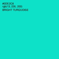 #0DE2C8 - Bright Turquoise Color Image