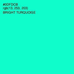 #0DFDCB - Bright Turquoise Color Image